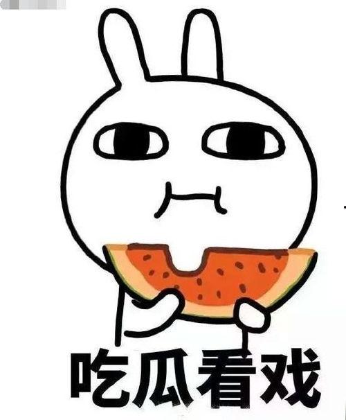 在娱乐圈吃瓜的沙雕小说